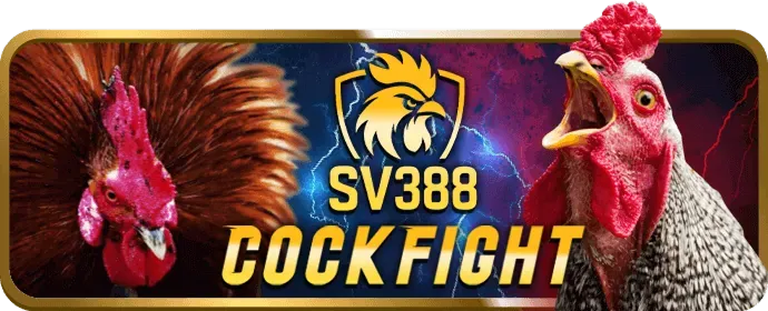 Hình ảnh đội ngũ hỗ trợ khách hàng chuyên nghiệp của 98win8 win